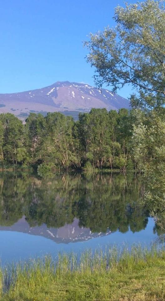 Gurrida All Ombra Dell Etna Un Luogo Magico Una Natura Speciale Un