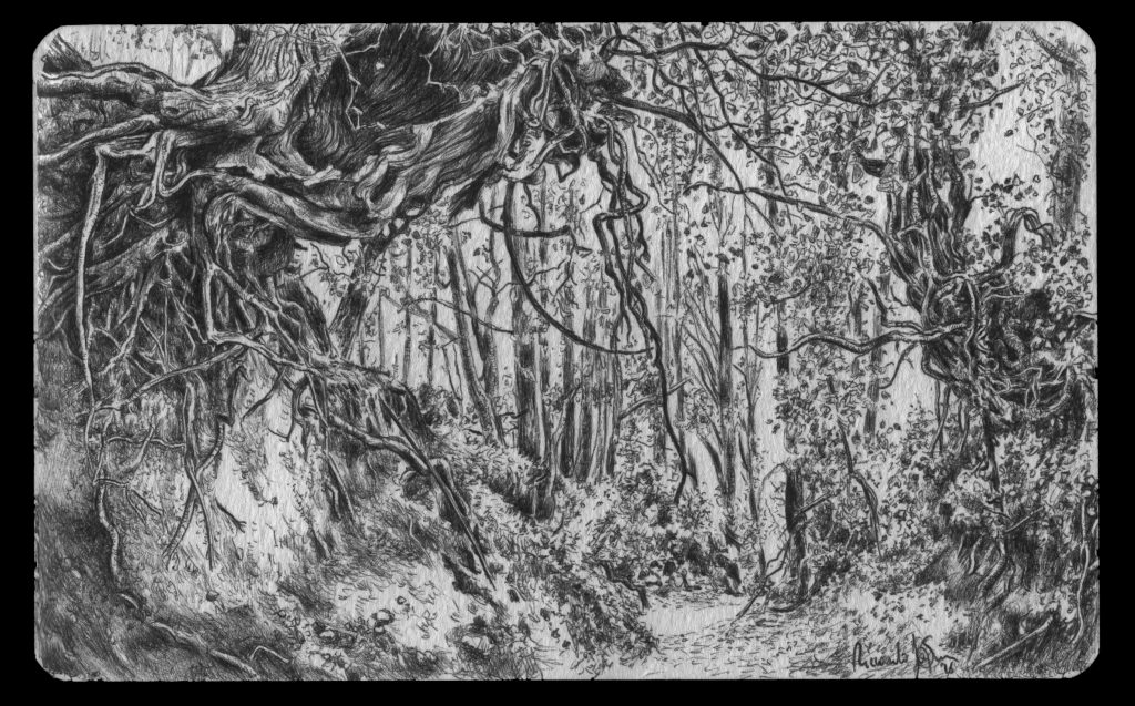 Riccardo, il “Giotto di Trecastagni” … La magia di una penna biro