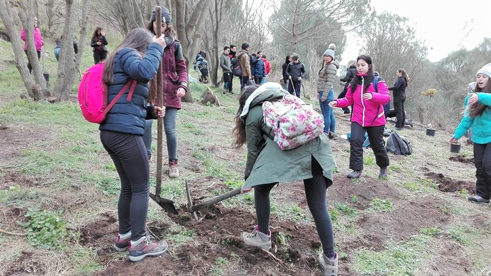 Tanti nuovi alberi e l’energia di tanti ragazzi per un mondo più Bello