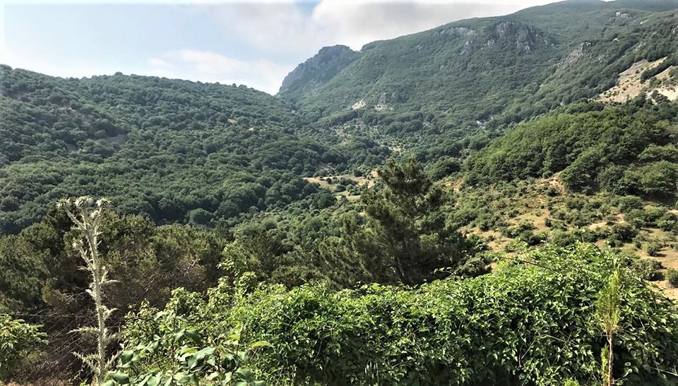 Domenica 18 febbraio “Piantiamo un bosco”. Tra i Monasteri di Nicolosi, con amore per la Natura e per la Muntagna