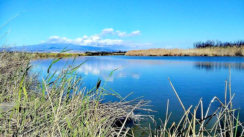 Quinziano, che fece martirizzare Sant’Agata e fu inghiottito dal Simeto