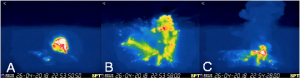 Esplosione del 26 aprile 2018. Frame significativi ripresi dalla telecamera dello spettro infrarosso del Pizzo sopra la Fossa. L’orario visualizzato nelle immagini corrisponde all’ora UTC (Coordinated Universal Time).