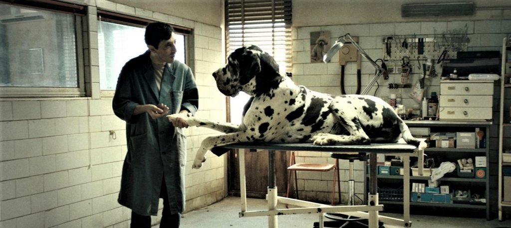 Dogman, far west dei giorni nostri. Il piccolo, insuperabile Marcello e il suo viaggio senza ritorno nella disperazione e nella tenerezza