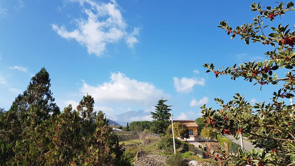Mario tra poesia e musica. E il suo amore per l’Etna