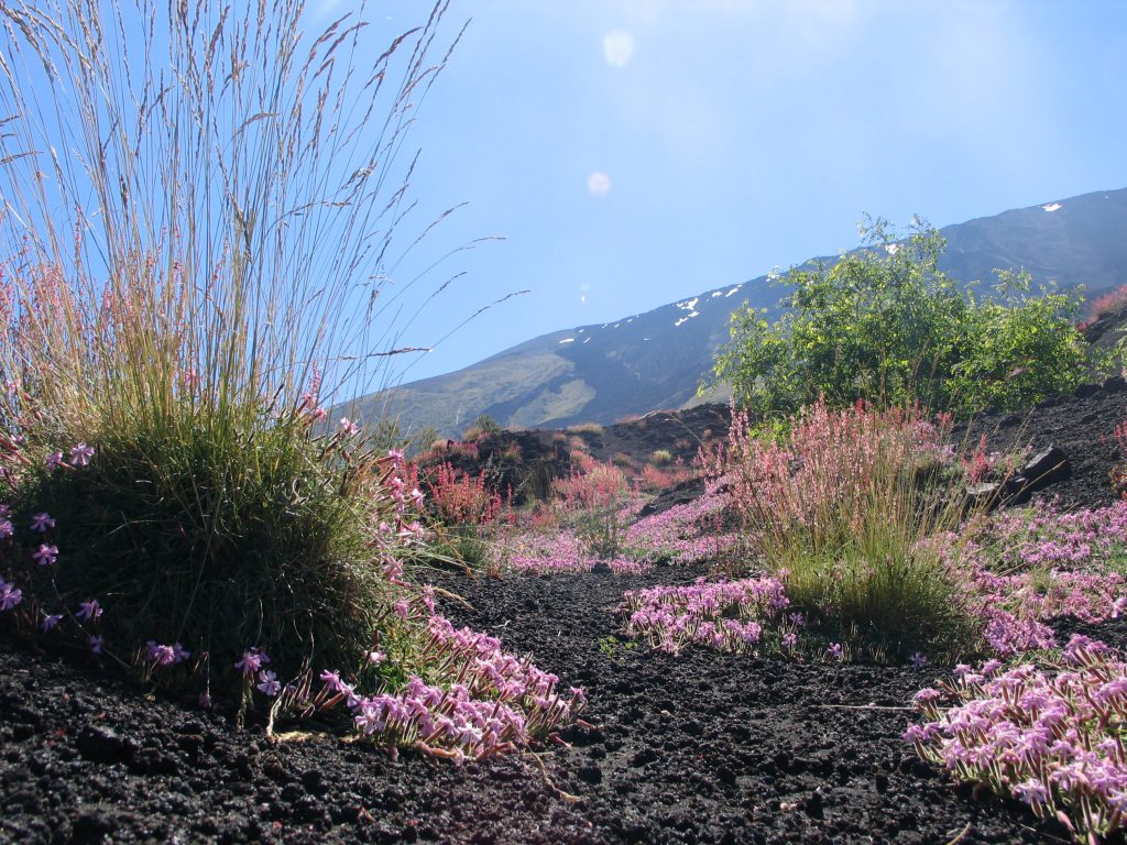Il Parco dell’Etna tra ieri e domani. Punti di vista di un (caro) ex