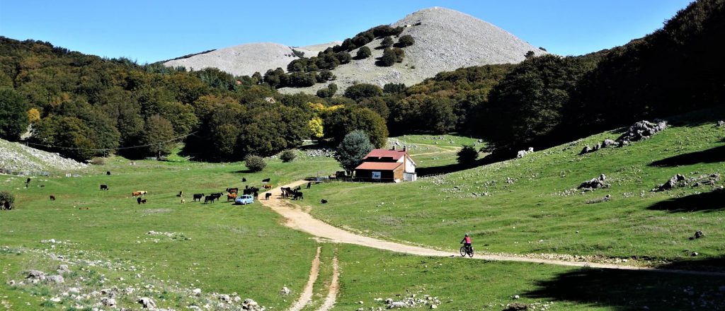 Viaggio lento nella bellissima Sicilia degli evasori