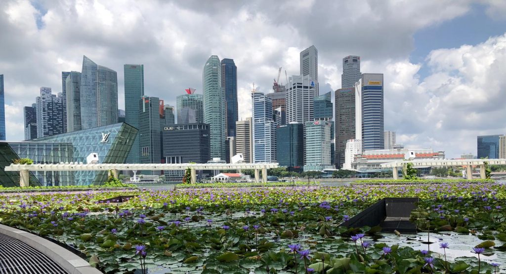 “Covid-19: il modello Singapore e la nuova sfida “Circuit Breaker”
