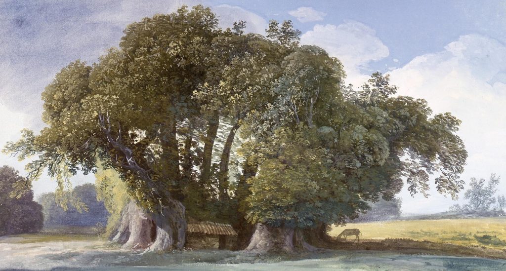 L’Etna di Jean-Pierre Louis Laurent Houël, “pittore del re”