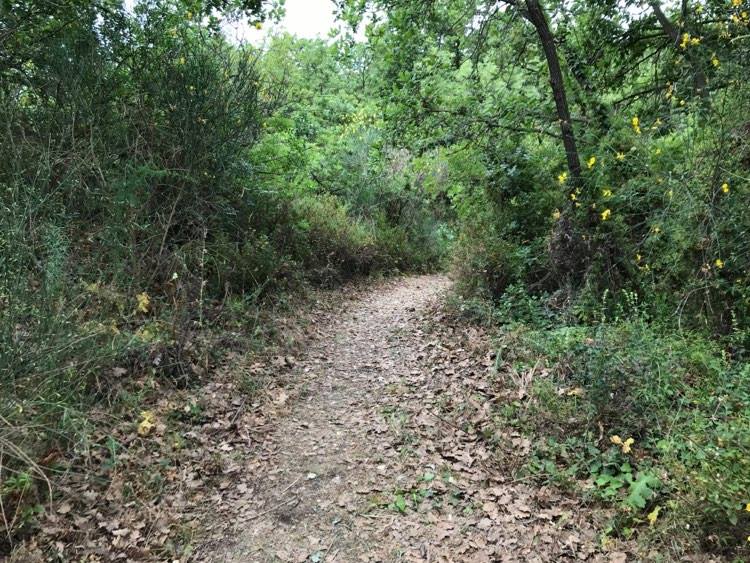 Ecco il Parco Monte Ceraulo con i suoi tanti Amici: una super festa della natura
