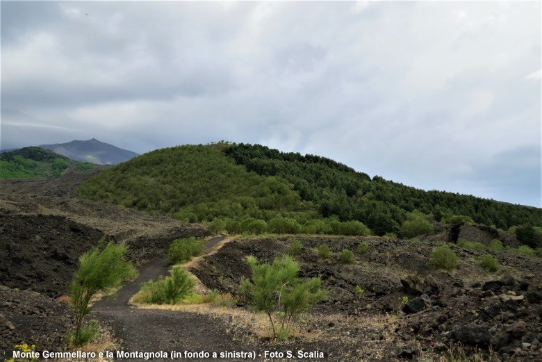 I Gemmellaro di Nicolosi. Carlo e l’eruzione dell’Etna del 1886