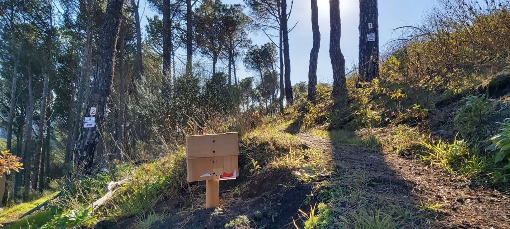 Chi non vuole Etna Parkrun ai Monti Rossi?