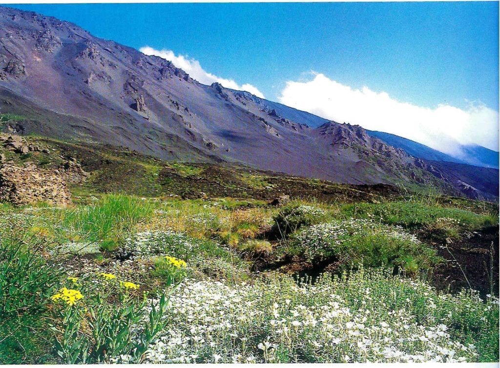 Gesualdo Bufalino e l’Etna: quell’afoso giorno di luglio del 1990 nella sua casa di Comiso